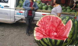 来宾市吃瓜群众爆料案件,吃瓜群众揭秘真相